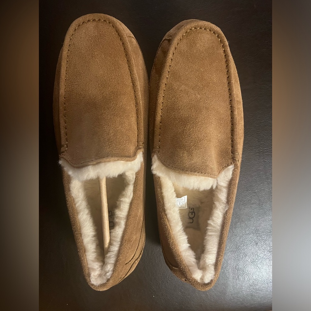 UGG Australia US 12 Mens Ascot Slipper in  Chestnut